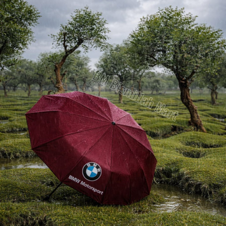 BMW Premium Auto Open-Close 16 Ribs Umbrella -Merun